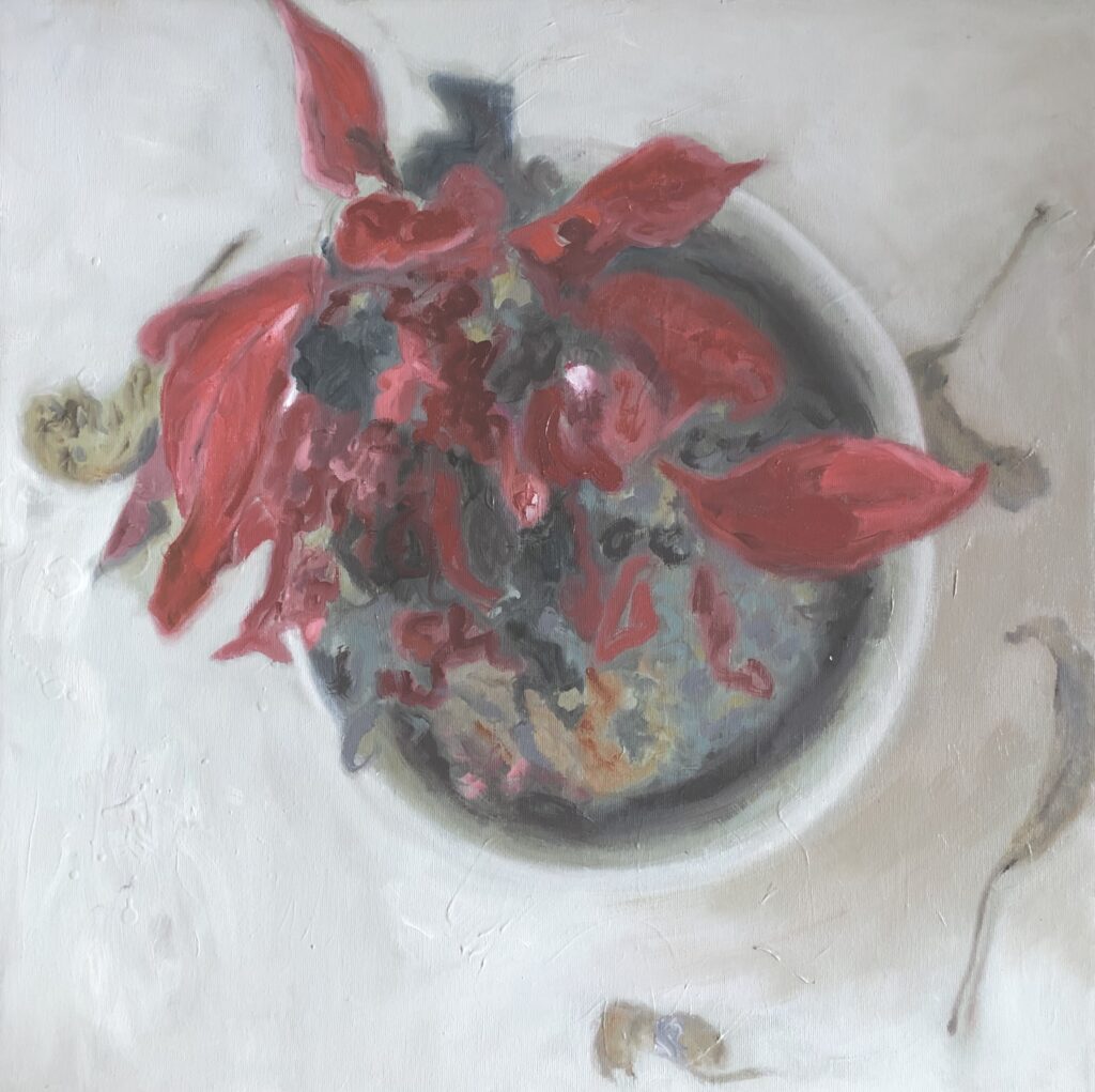 Poinsettia, 60x60, oil on canvas, 2019