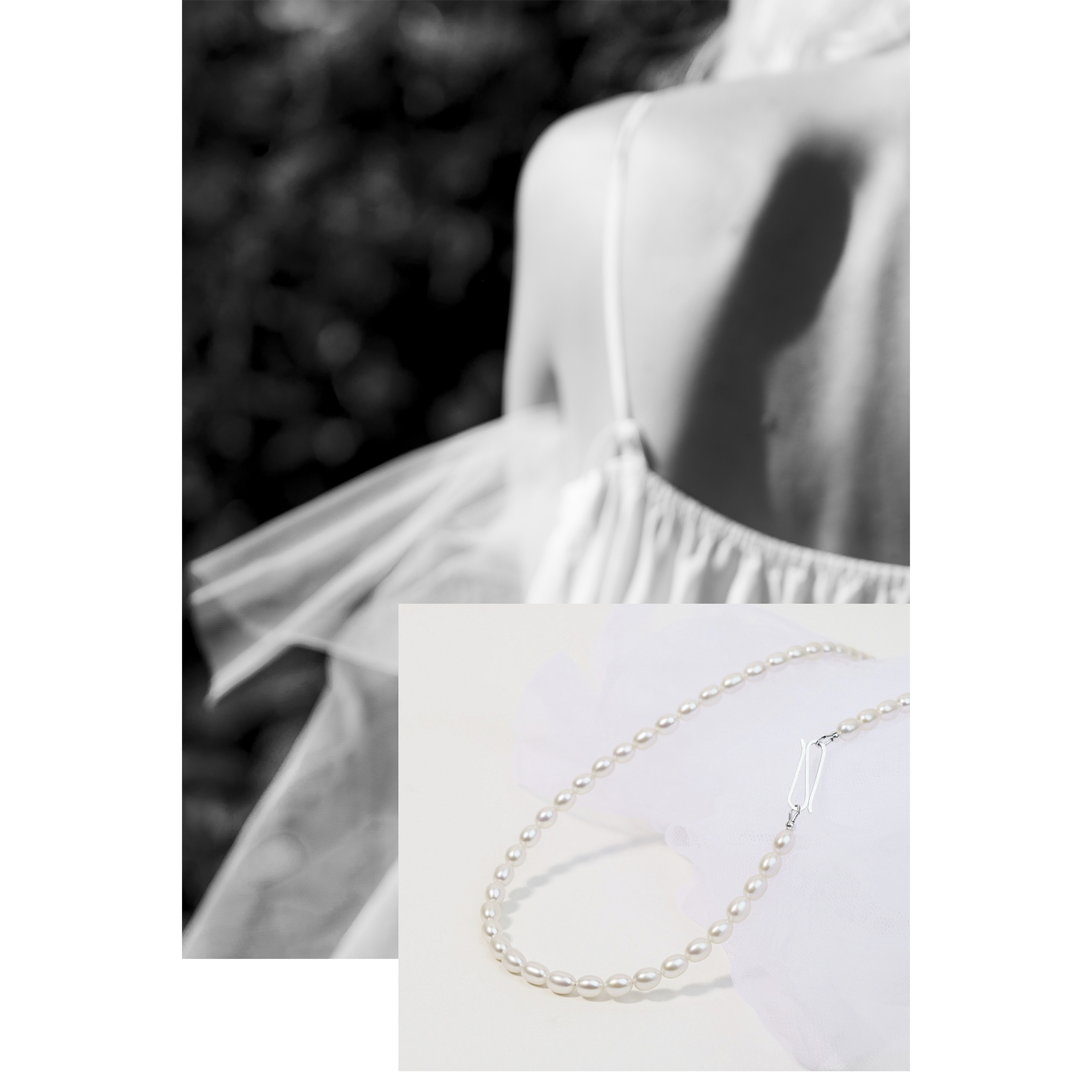 CATZ by photographer Brit Windahl