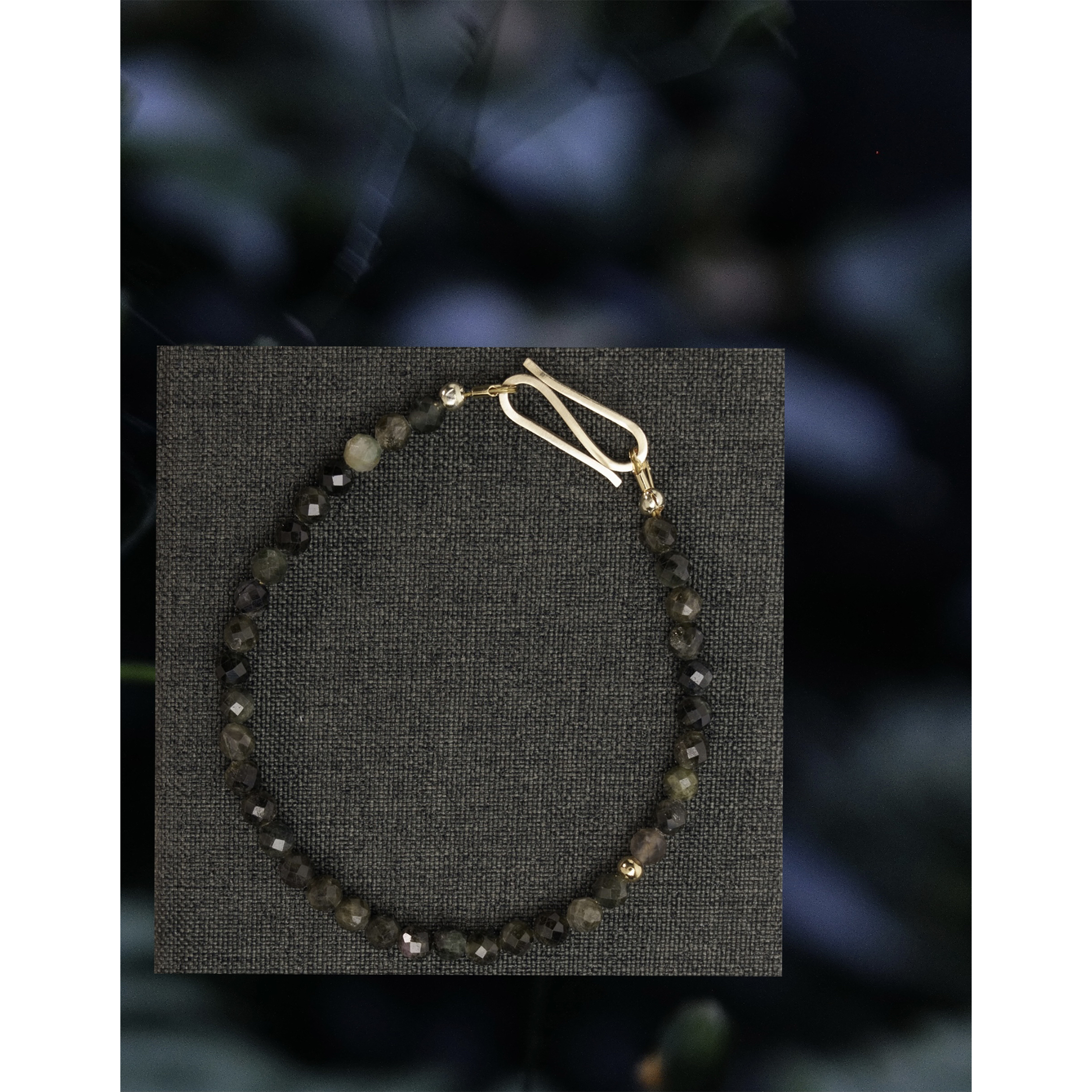 CATZ by photographer Brit Windahl