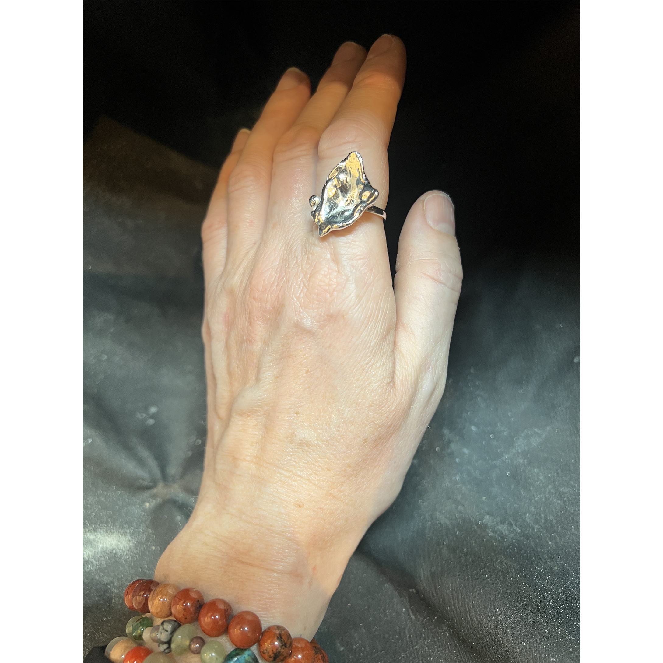 CATZ by photographer Brit Windahl